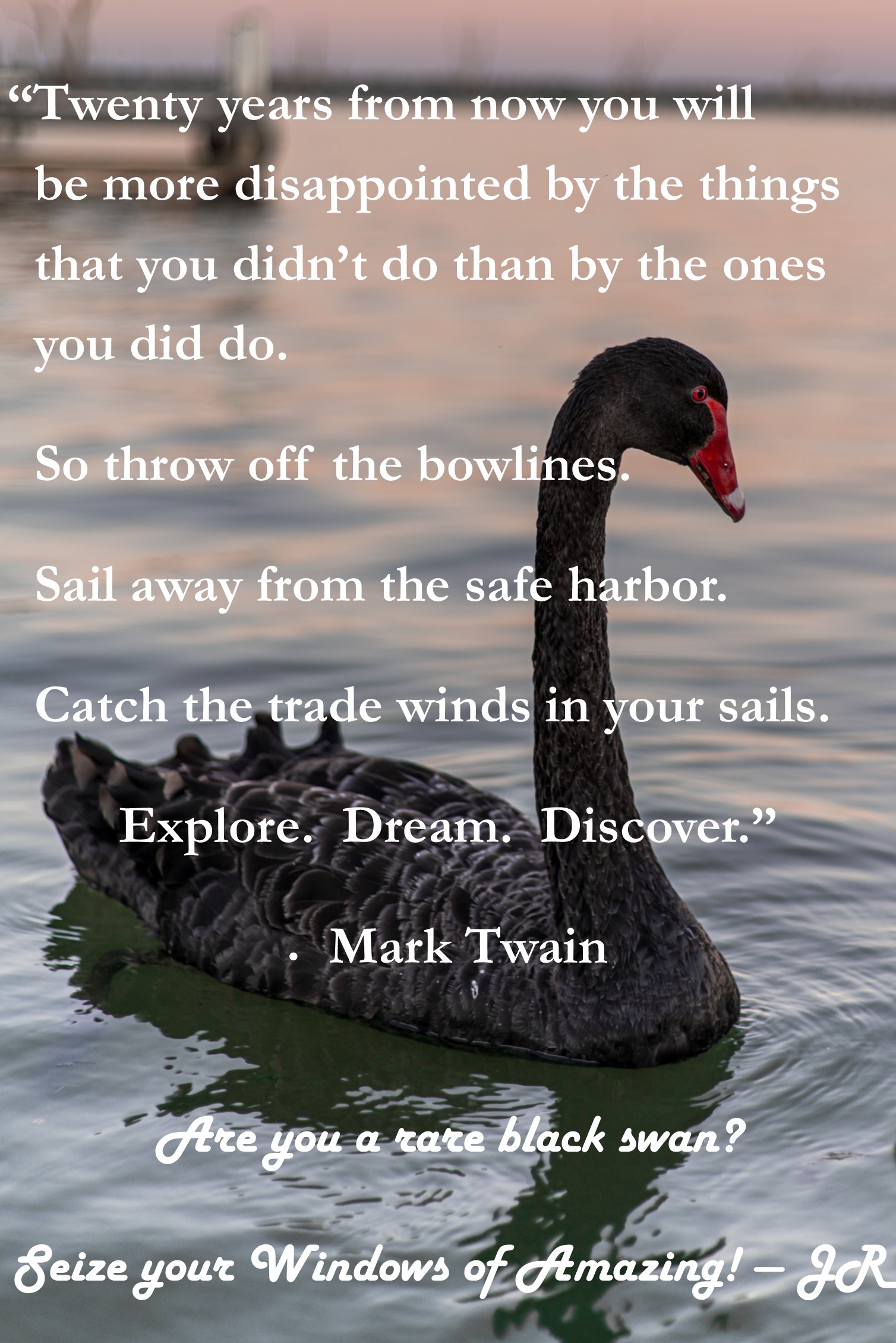 2021-04-a-Mark-Twain-Black-Swan