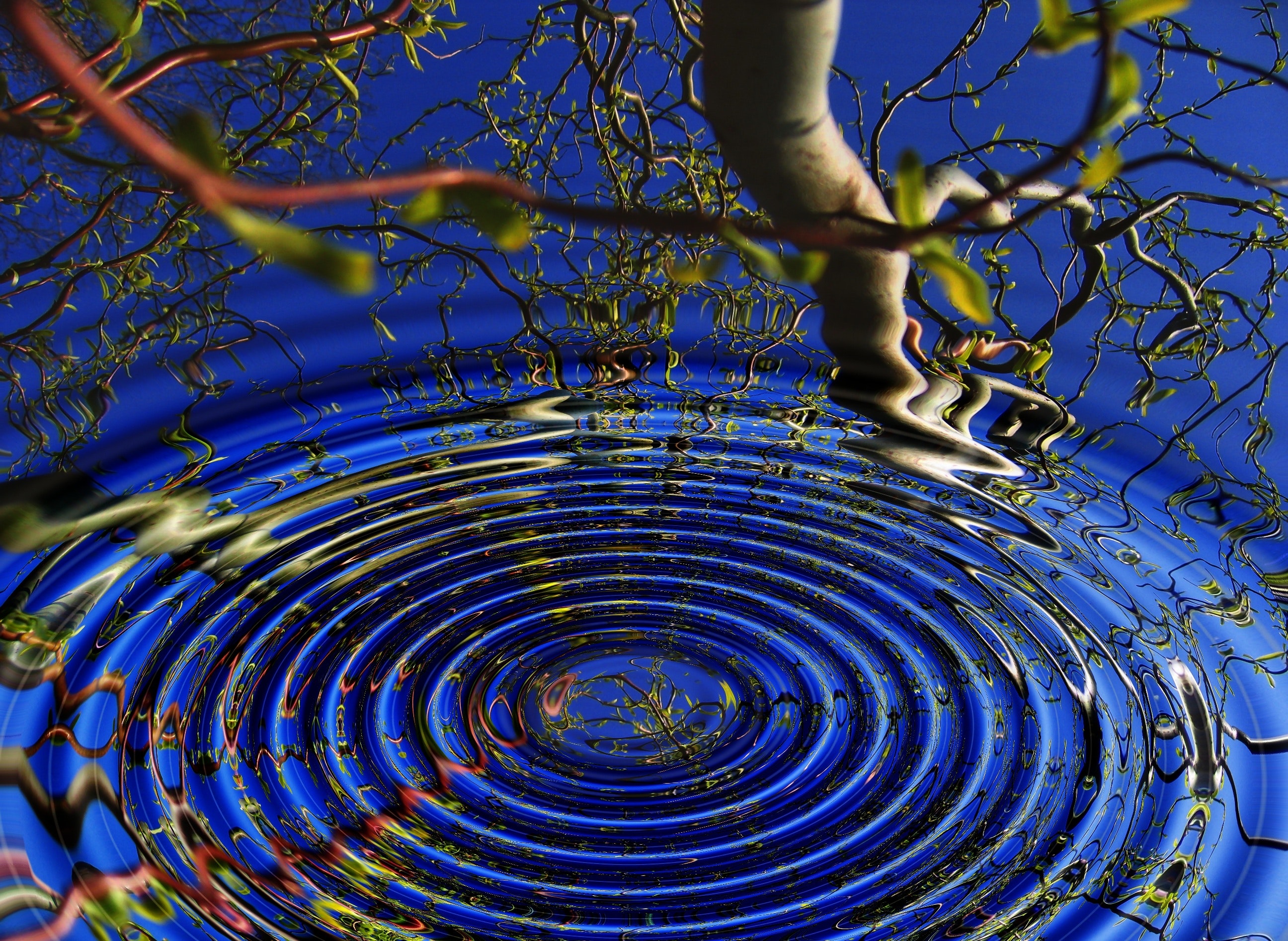 abstract-art-awareness-268283 abstract-art-awareness-268283