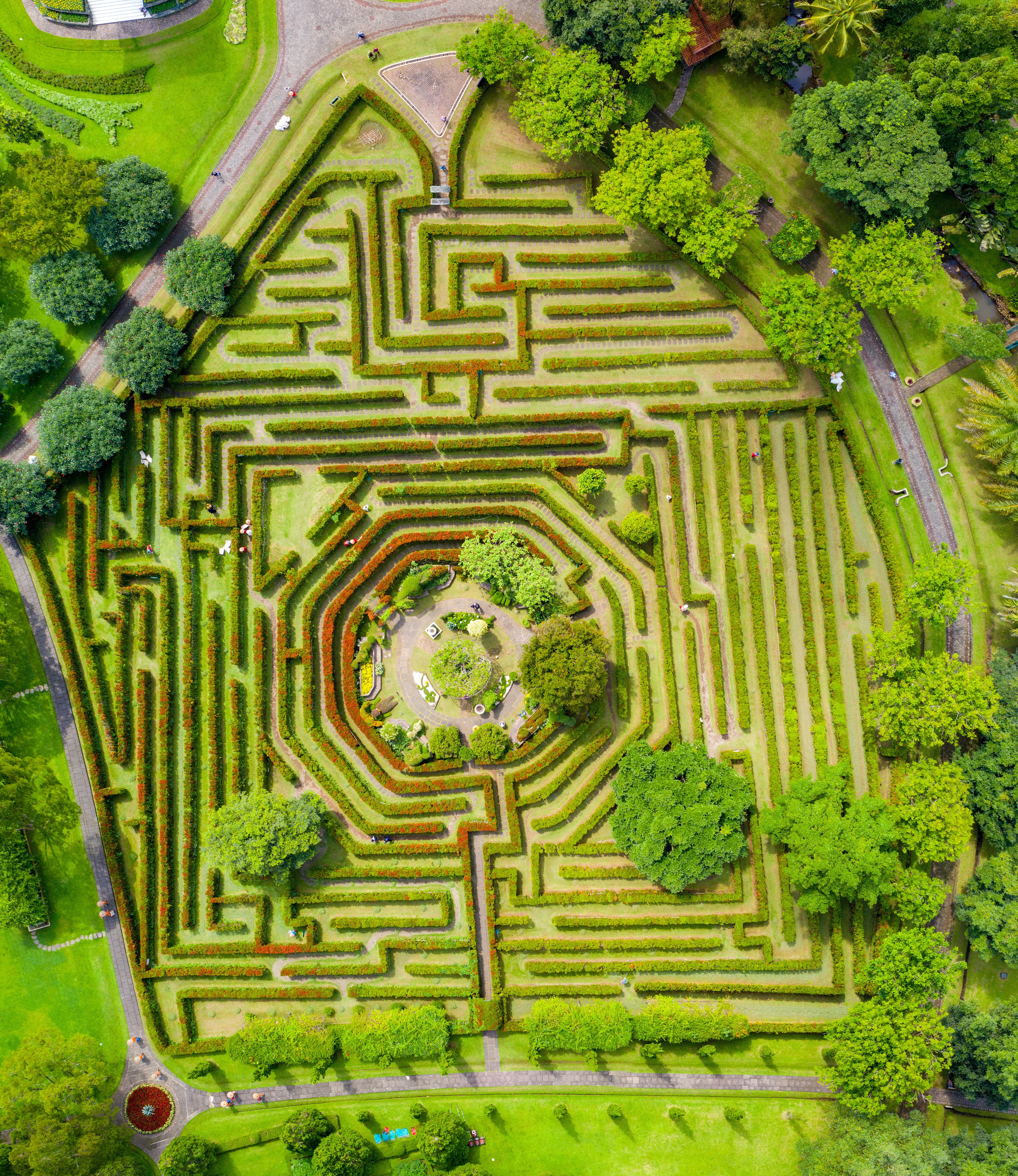 aerial-photography-of-maze-bush-1904204