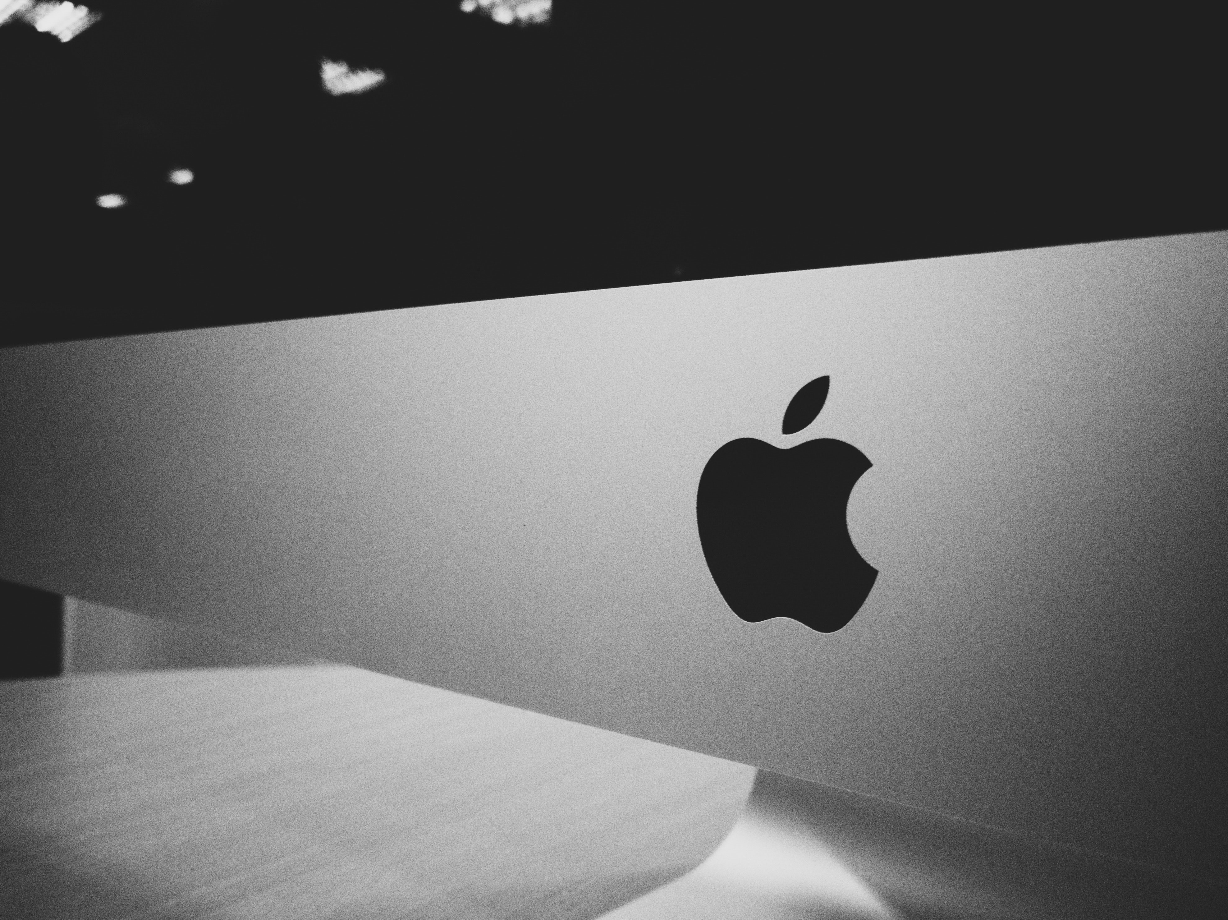 apple-art-black-and-white-544295 apple-art-black-and-white-544295
