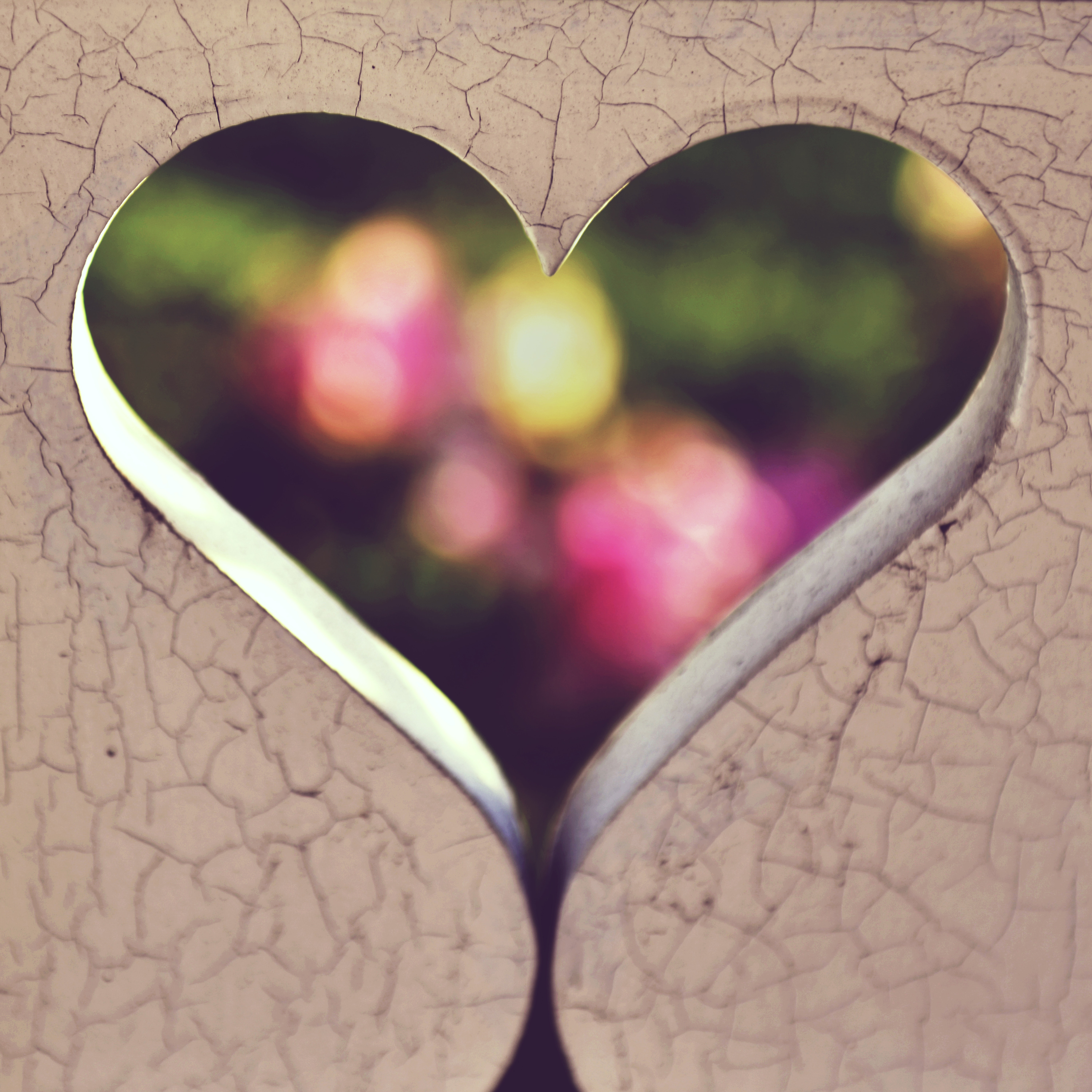 blurred-background-close-up-design-880843