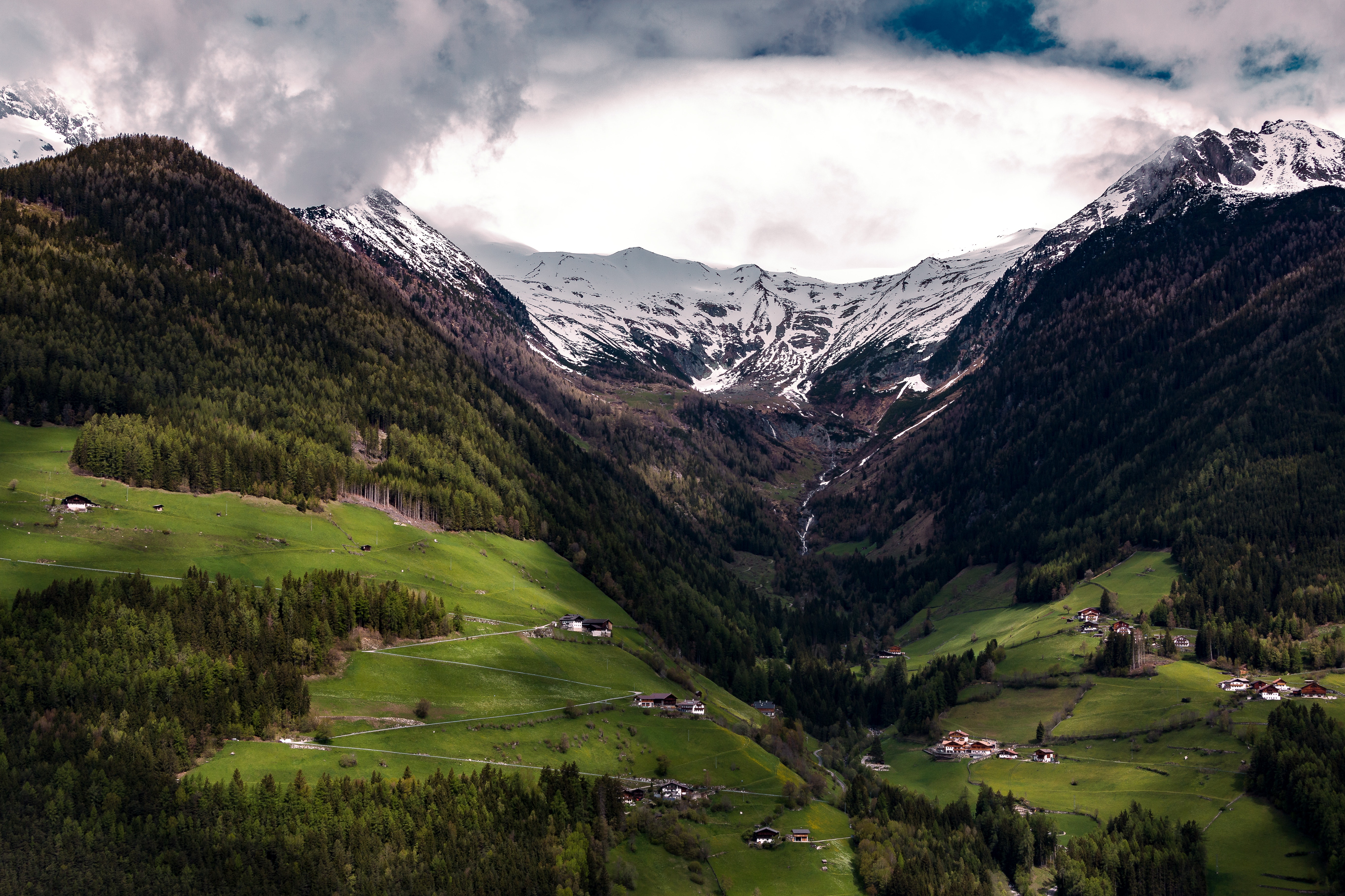 clouds-cloudy-skies-conifers-443696 clouds-cloudy-skies-conifers-443696