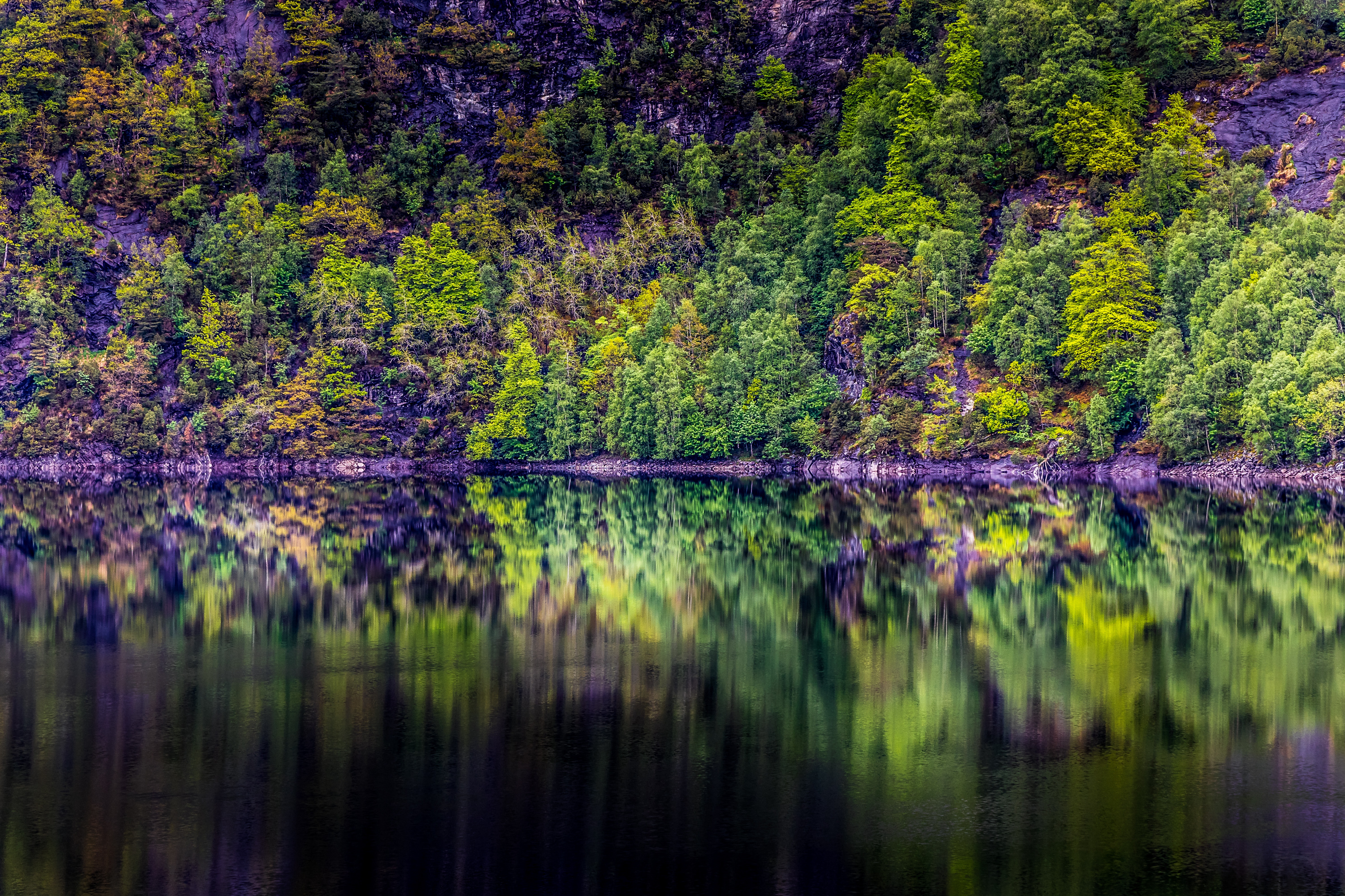 panoramic-photography-of-trees-1453627