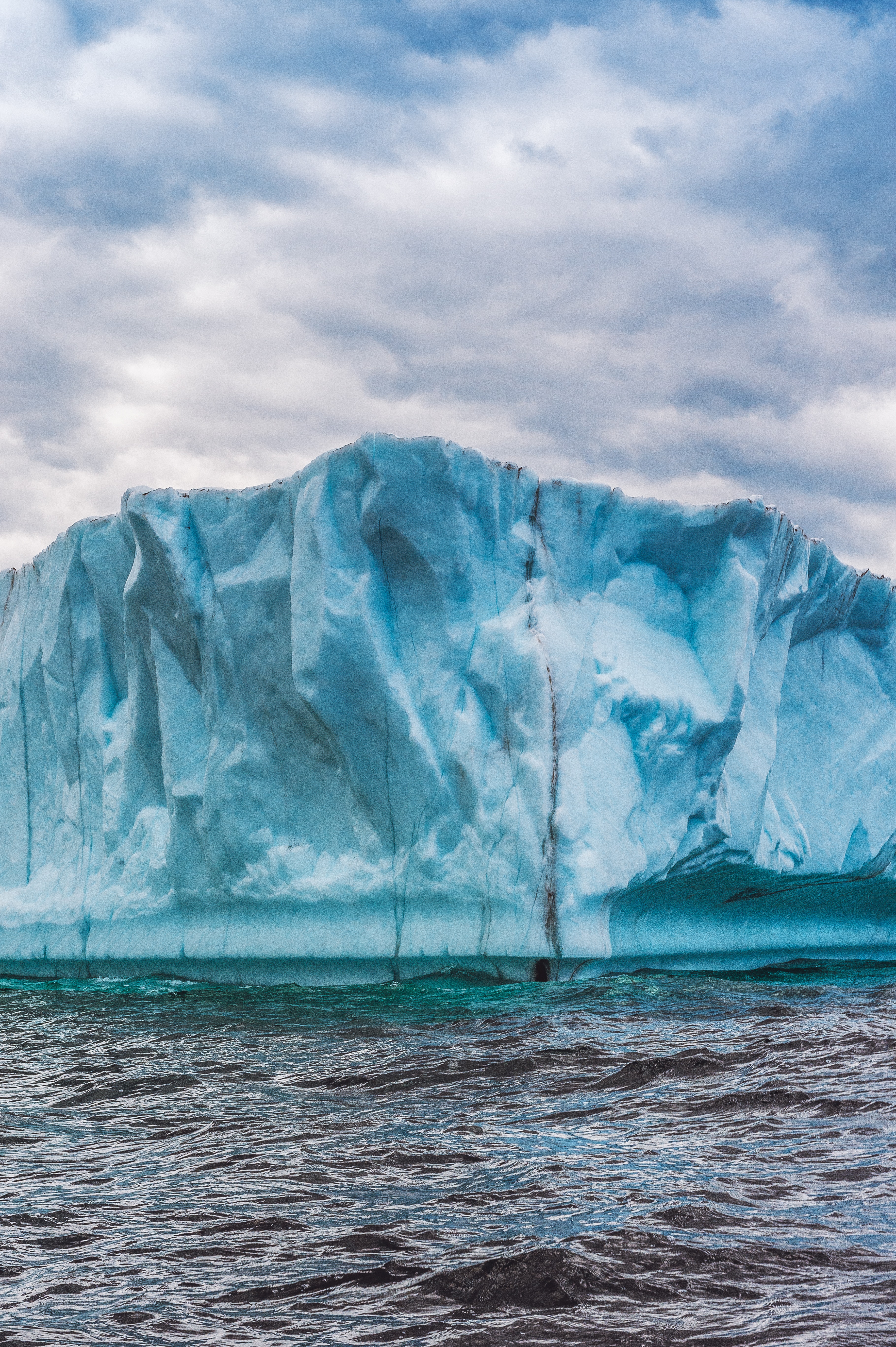 pexels-harrison-haines-2869608