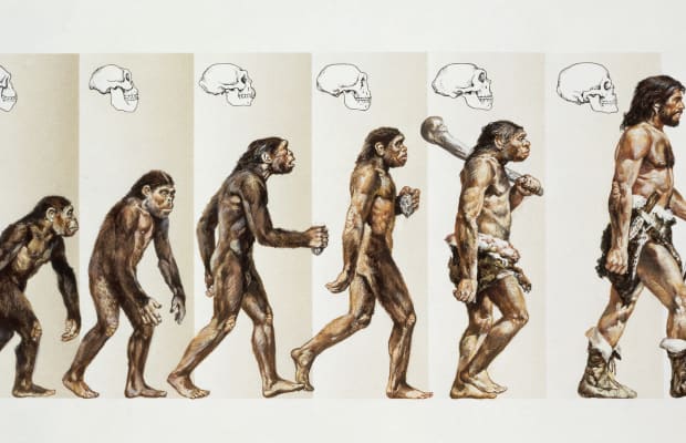 2022-02-a- Neanderthal-Evolution