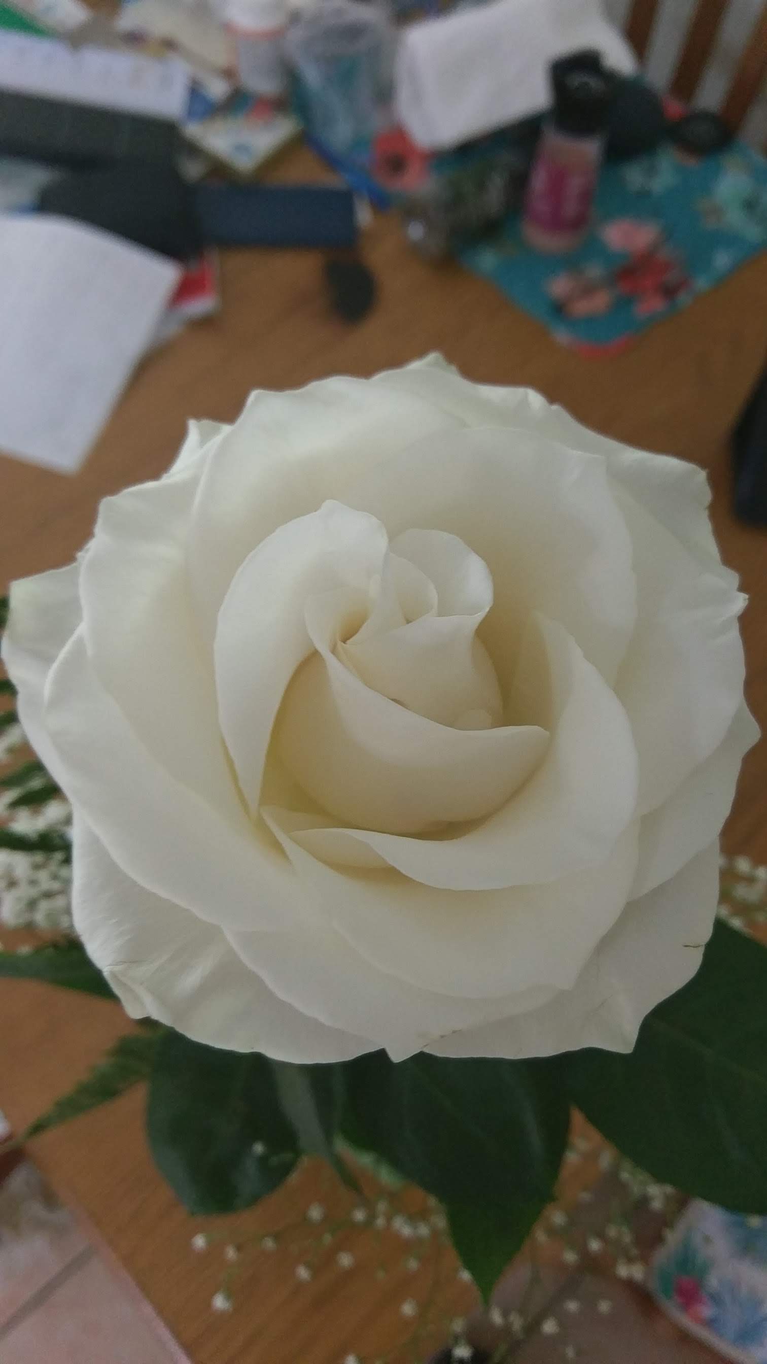 IMAG0182