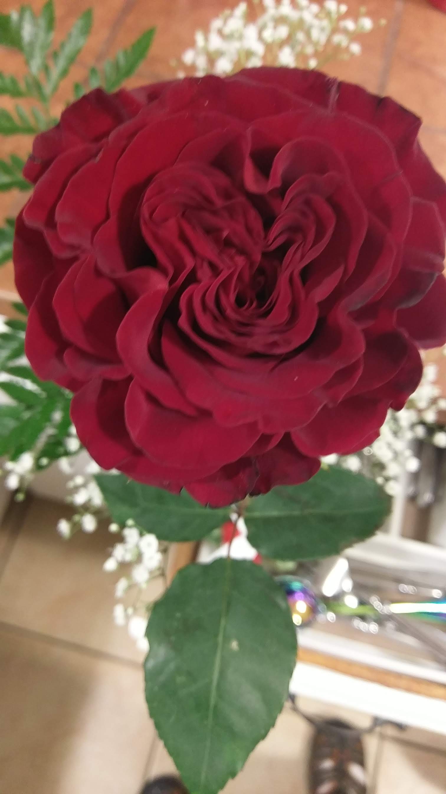IMAG0276 IMAG0276