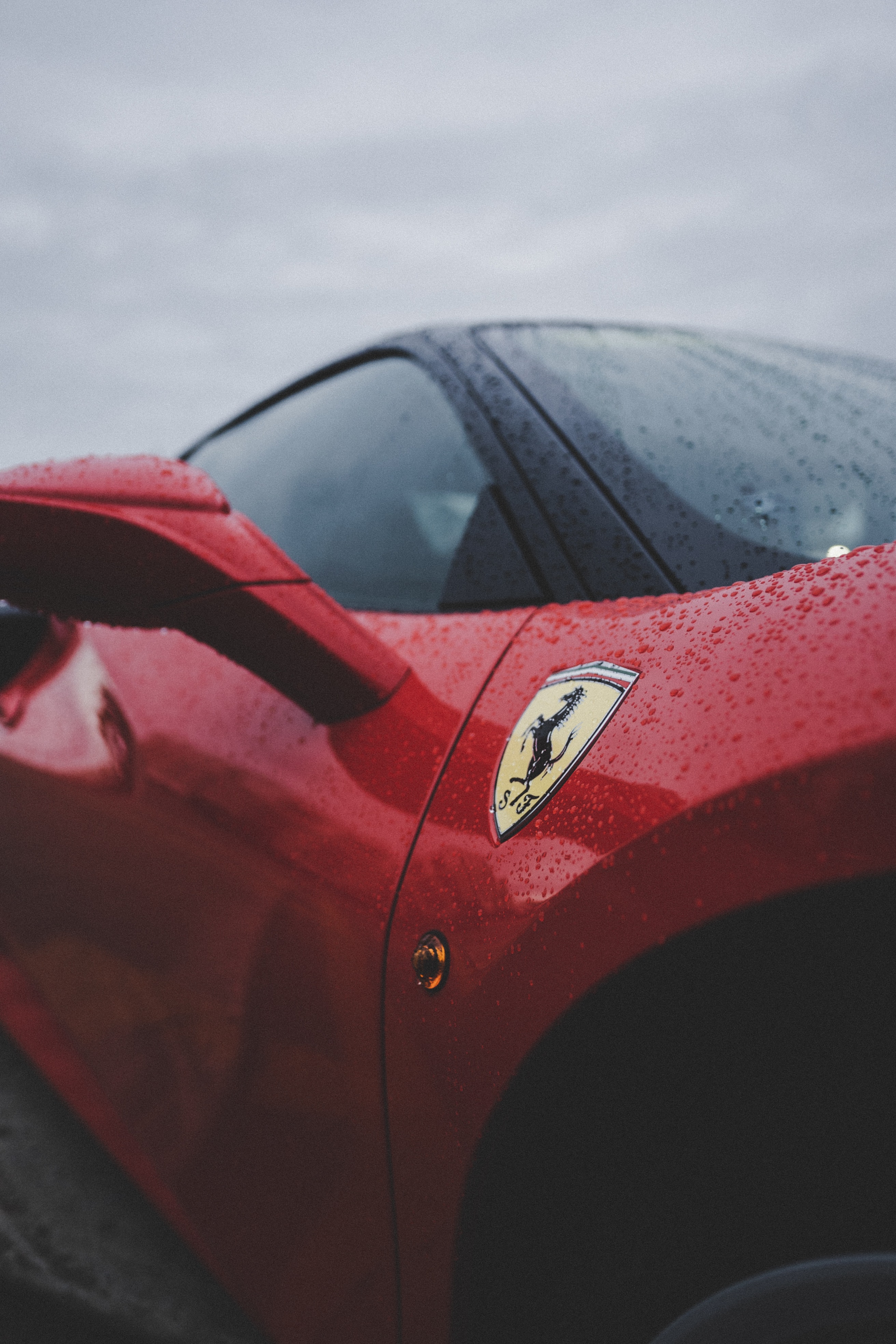 pexels-zachary-debottis-2568539